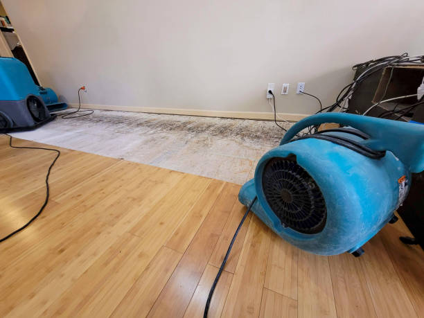 Professional Water Damage Repair technician working in Langley, OK